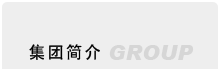 永杰集团简介